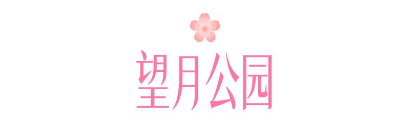 Ĭ�J(r��n)��(bi��o)�}